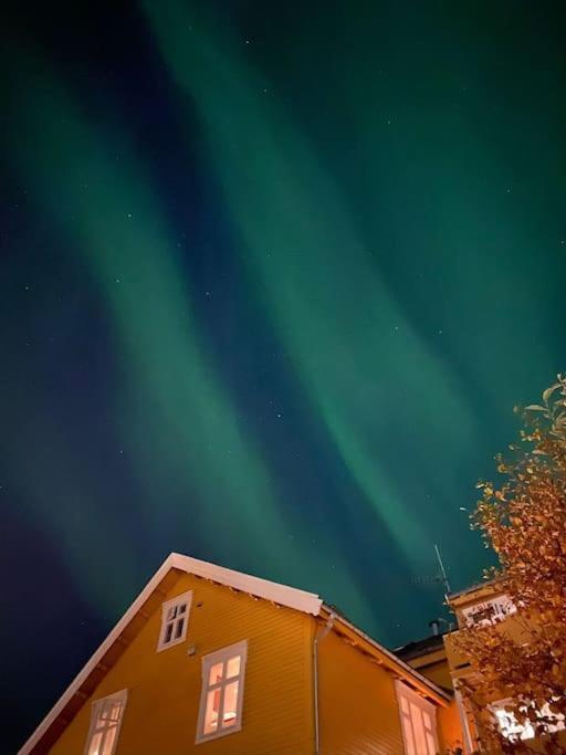 Cozy Ground Floor Apartment Tromsø Eksteriør billede