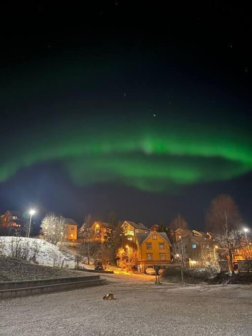 Cozy Ground Floor Apartment Tromsø Eksteriør billede